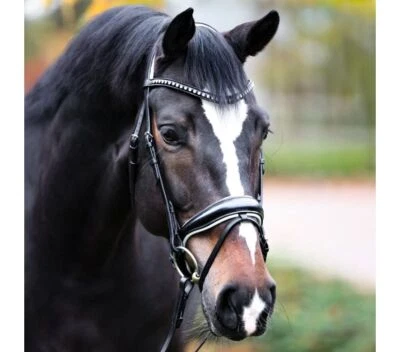 % Kavalkade Dressurtrense Charlotte -UVP €159,90- Reitsport NuddelHof -NH