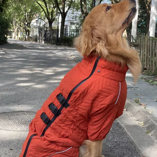 Dog Winter Coat 4 Legs Covered Windproof Waterproof Reflective Warm Dog Clothing - Picture 13 of 65