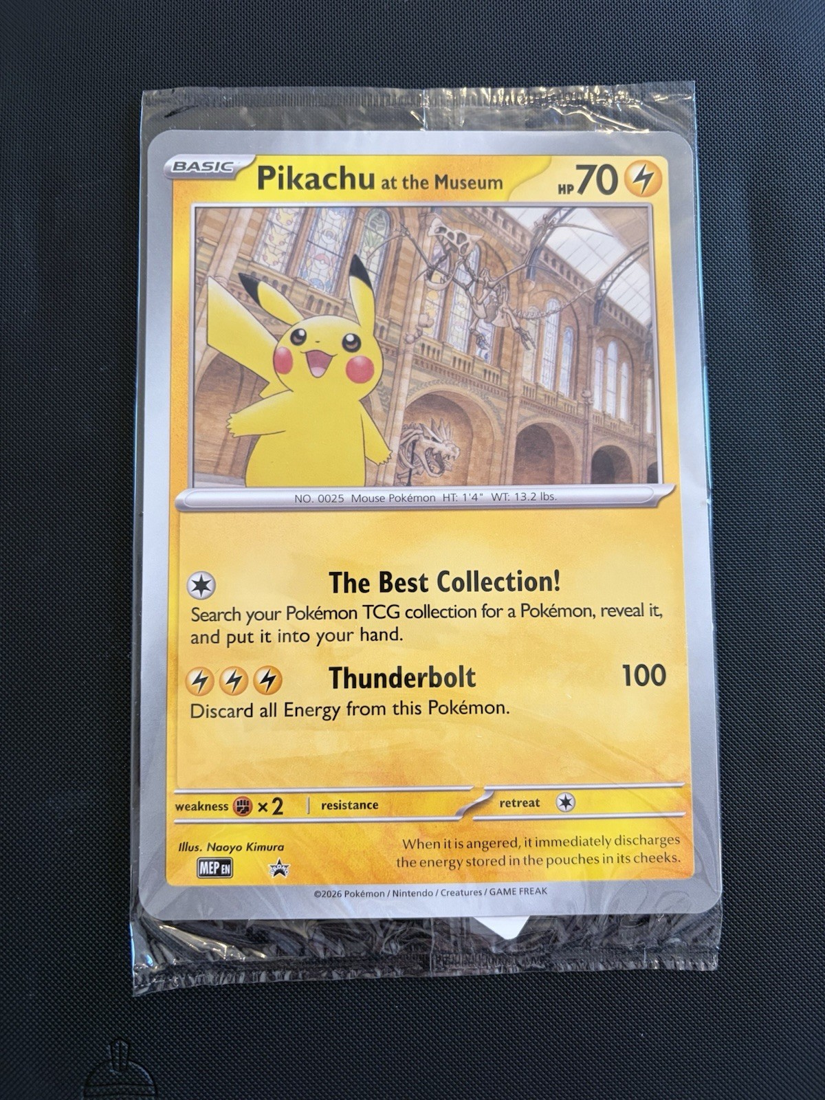 Pikachu At The Museum Oversize Jumbo Card Sealed Promo - Sealed