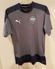 PUMA AJAX Soccer Shirt - Team GOAL 23 Training Jersey - Medium  - Gray