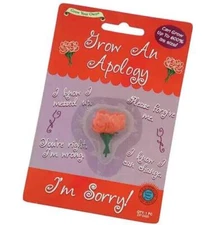 Grow An Apology with Roses ~ I'M SORRY!  FORGIVE ME! Funny Novelty Gift Card Toy