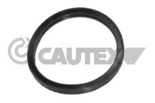 Thermostat Citroen XM