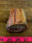 Arizona Rainbow Petrified Wood, 1.32 Lbs, Jasperized Polished Limbcast! Display! — photo 5