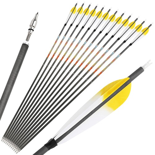 SP250-600 31" Archery Pure Carbon Arrows 5" Natural Feather Recurve Compound Bow - Picture 13 of 15