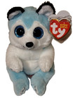 Ty Beanie Baby Bellies Thunder Husky Dog 6" New Mwmts Plush Stuffed Animal Toy