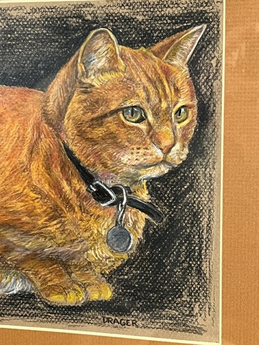18x15” Signed Drager OOAK Art Pastel Chalk Drawing Sketch Orange Tabby Framed - 第 6/24 張圖片