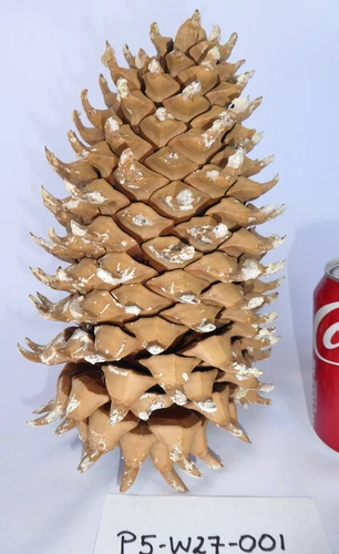 Coulter Pine Cone LARGE XL 11" Lx 8"w! Christmas Gift Crafts Nature Pinecone HTF