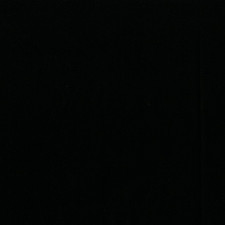 Cotton Couture in Black | Cotton Couture | Michael Miller