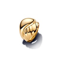 Pandora Ring Damen Welliger Doppel-Ring 14K Vergoldet 163832C00 Gr. 52