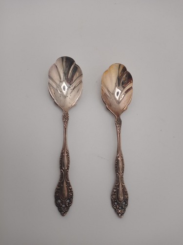 1881 Rogers Oneida Plateado Cuchara de Azúcar Concha Victoriano Mango Ornamentado Flor - Imagen 1 de 8