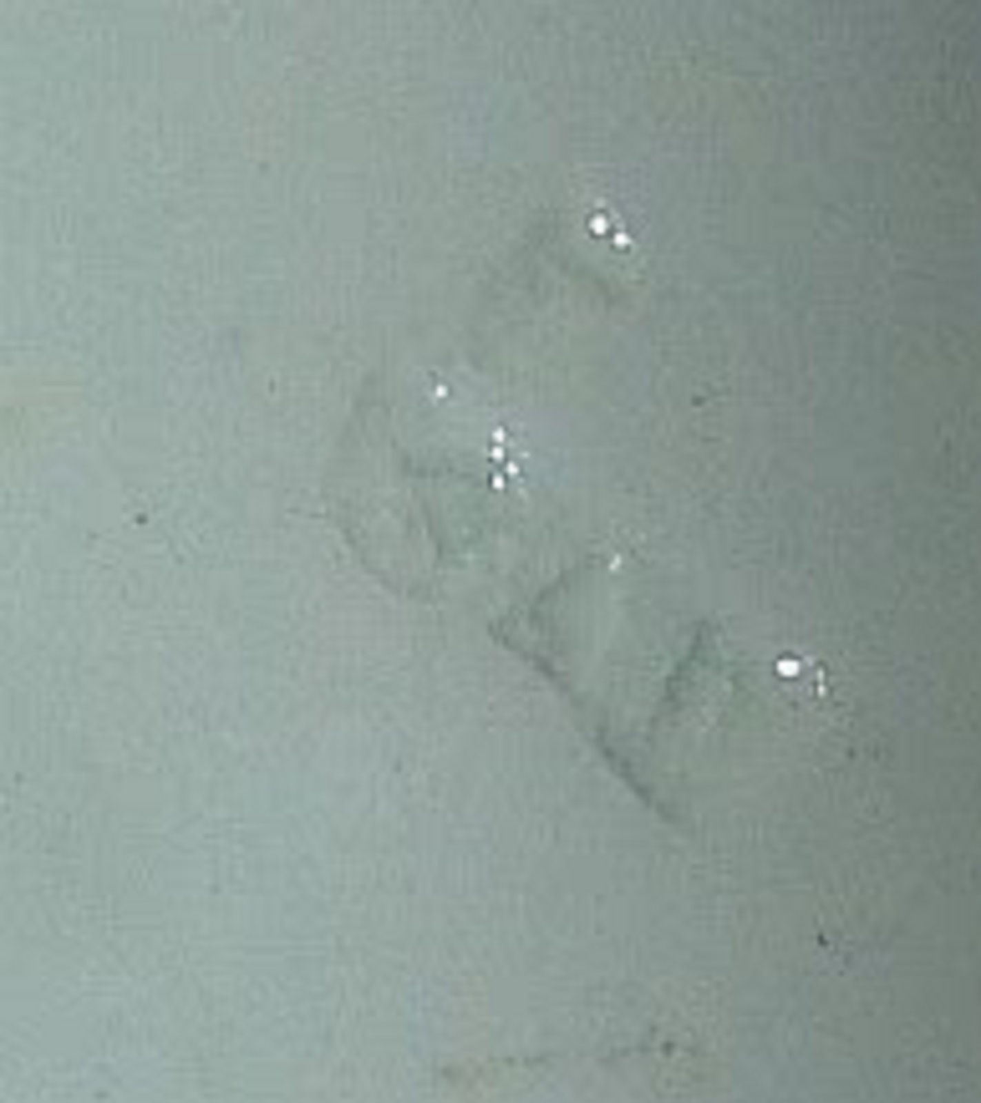 Picture 7 of 7