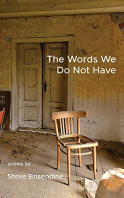 The Words We Do Not Have -  NEW Steve Brisendin 2021