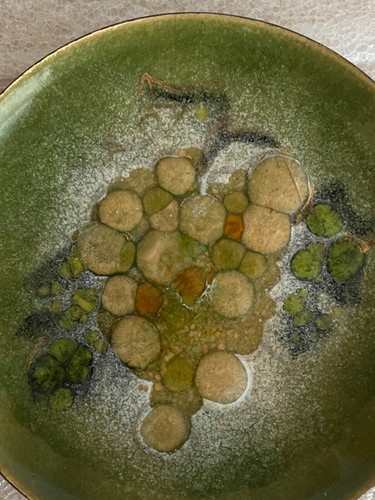 Mid Century Enamel Plates California Artist Sascha Brastoff Grapes 6" Green - Picture 7 of 7