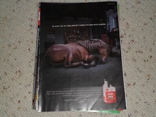 2015 STA-BIL FUEL STABILIZER AD / ARTICLE