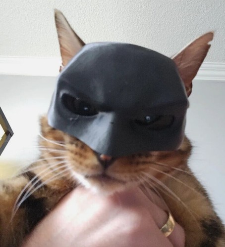 Batman mask for cats, black 3D printed, Halloween costume for your cat - Picture 3 of 6