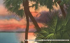 Vintage Postcard Nature's Paradise on the Gulf in Sunshine State Florida Sunset