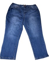 Terra  Sky Women's Blue Jeans Size 1X 16-18W Elastic Waist Button Fly Pockets