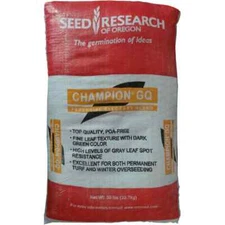 Champion GQ Perennial Ryegrass Seed
