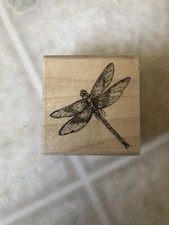 Intricate Dragonfly Bug Insect Stampabilities D1042 Wood Rubber Stamp