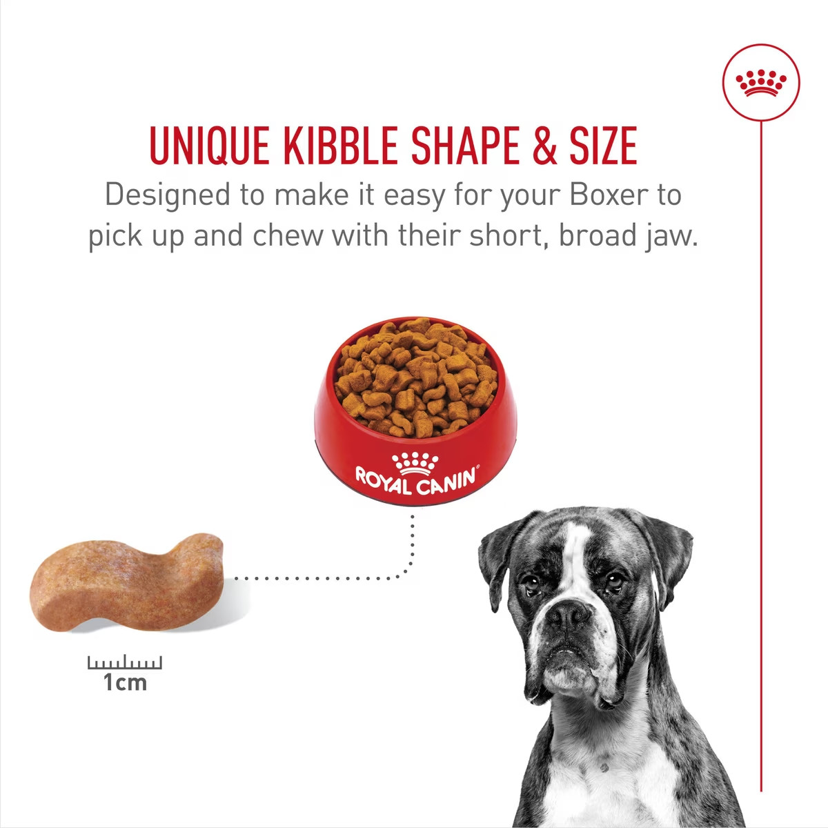 Royal Canin Breed Health Nutrition Boxer Adult Dry Dog Food, 30-lb bag