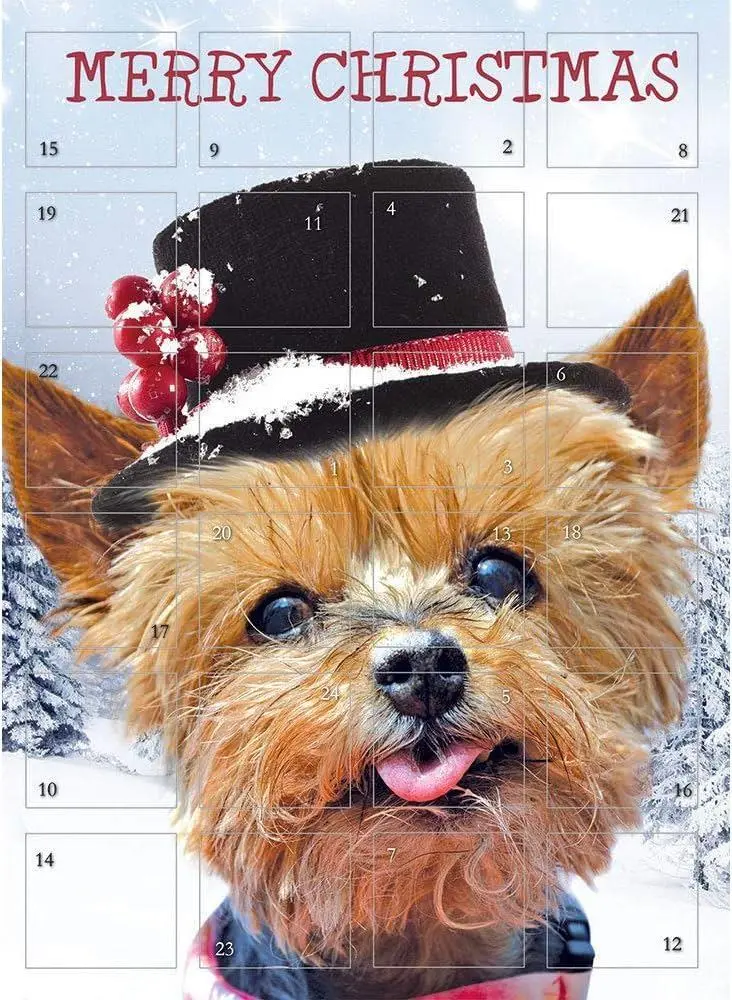 Traditional Christmas Advent Terrier In Tophat plus Envelope NO CHOCS OR TREATS