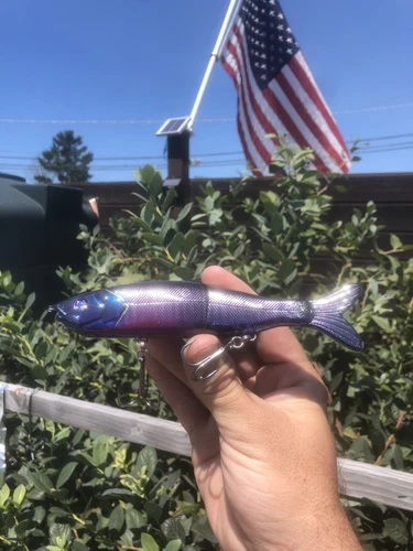Custom Glide Bait S Waver 168 Style Color Shift  MIDNIGHT BLUEGILL