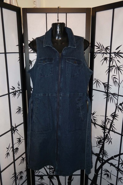 Target Collection Womens Blue Denim Sleeveless Collared Zip Front Shift Dress 14