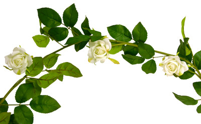 Rosengirlande weiß  L180cm Hochzeit Romantik Deko Papyrus Girlande große Rosen 