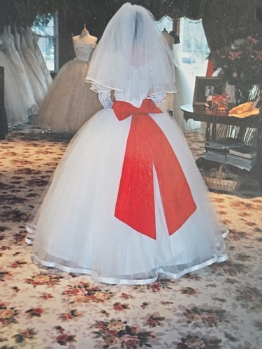 Beautiful custom made wedding dress size 0-2 with long sleeve top and veil - Picture 22 of 24