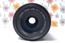 Canon EF-S 55-250mm IS STM telephoto lens 497796