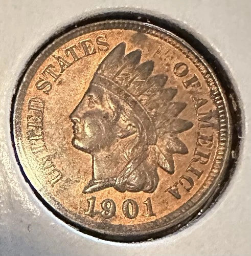 1901 indian head penny cent