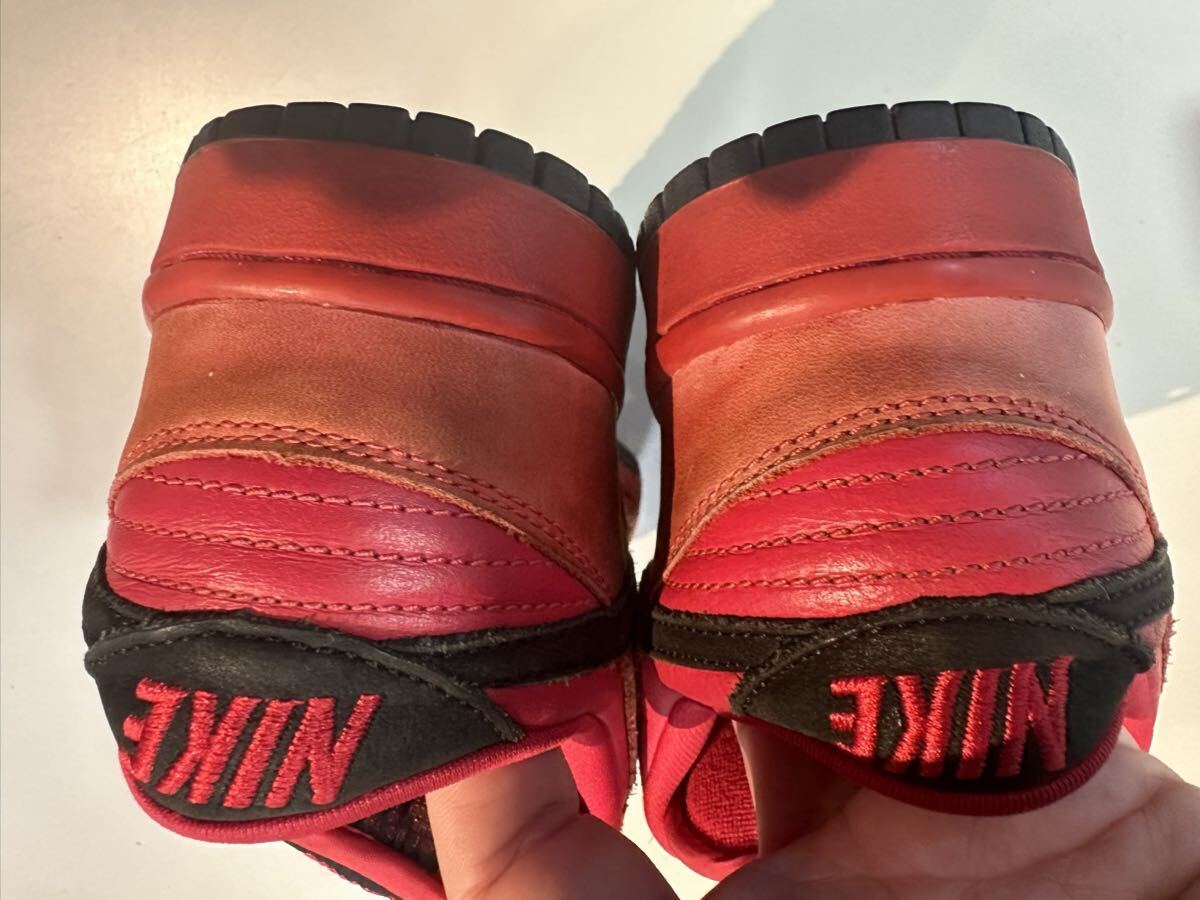 NIKE Men 9.5US 2003 Dunk Low Pro Sb Red Devil Us9.5 304292-601 | eBay