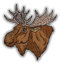 Moose Head Sketch Car Bumper Sticker Decal 5'' x 5''