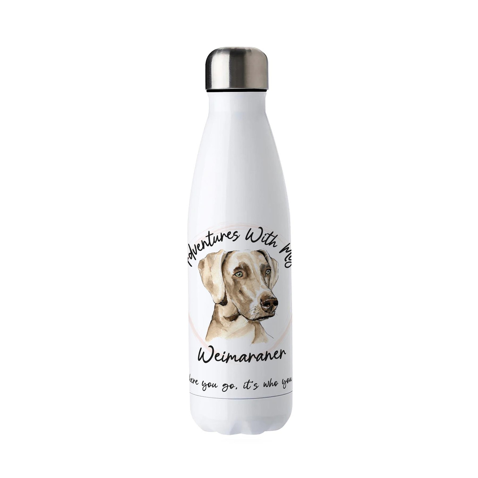 Adventures with My Weimaraner Stainless Steel Water Bottle Gifts for Dog Lovers