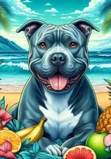 Pit Bull Terrier Blue Summer Fun Flag