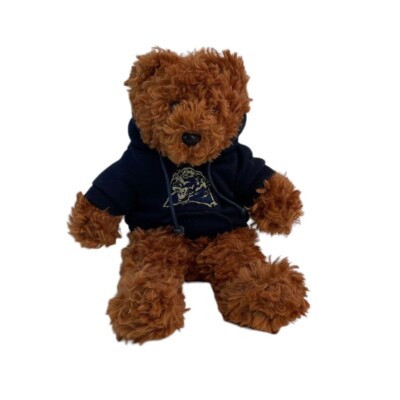 Team Bean Authentic Teddy Bear 9'' Plush Blue Carolina Panther Hoodie