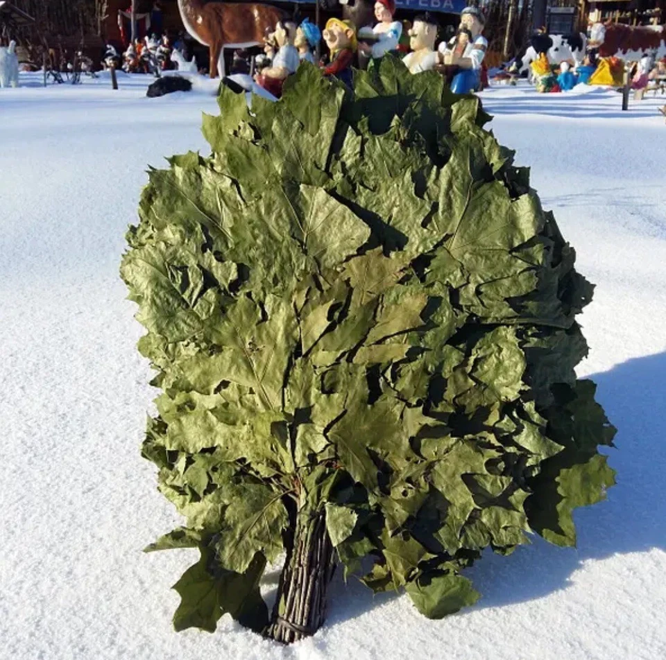 24 OAK whisks sauna banya venik brooms NEW SEASON 2025 FREE SHIPING - Image 4 of 4