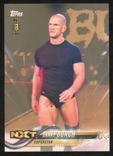 2018 Topps WWE Then Now Forever Danny Burch Rookie 1st NXT Bronze Parallel RC