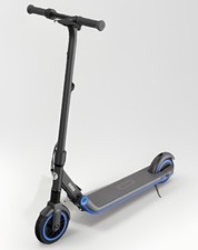 Segway Ninebot E10 Electric Kick Scooter Zing...