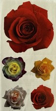 COLORFUL ROSE Stickers 5pc Blooming  Flower Heads  Garden  Weddings  Card Making  