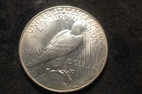 1934 BU Choice Peace Silver Dollar A REAL Choice Coin LVX