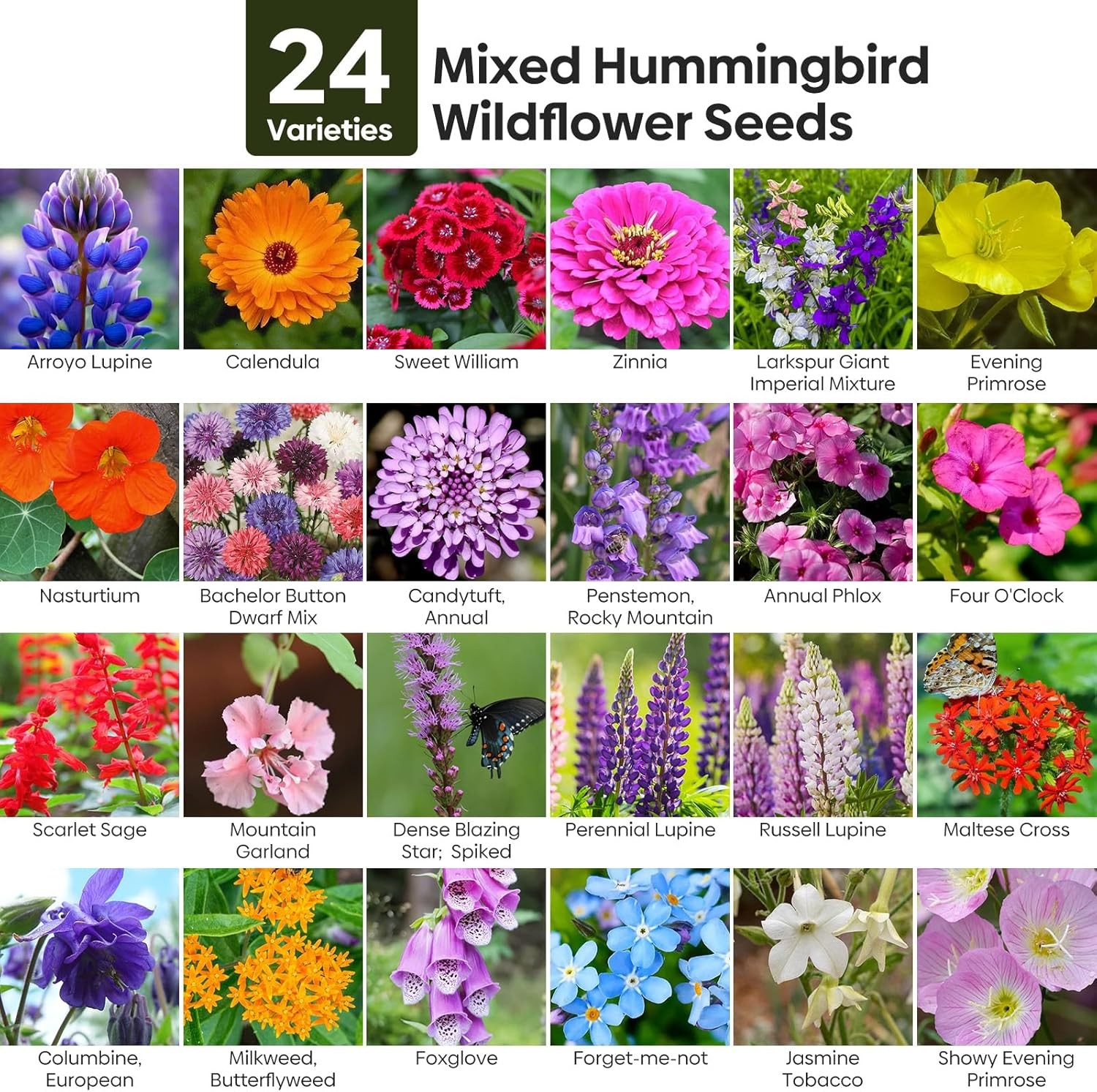 Wildflower Seeds Hummingbird Butterfly Mix 1 oz No Colorful Flowers