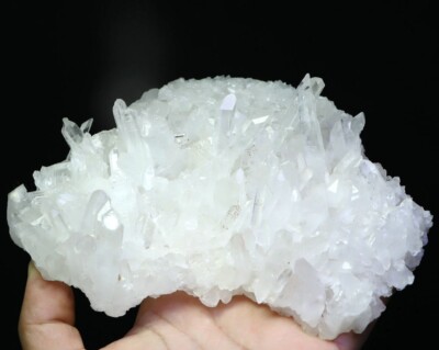 817g Natural Clear Quartz Crystal Cluster Point Wand Healing Mineral Specimen