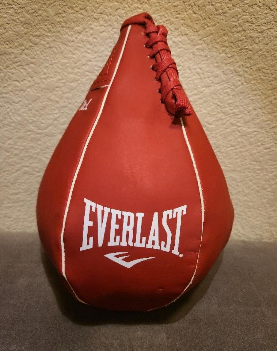 Everlast Boxing Durahide Speed Bag Don’t Fret About Debt