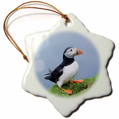 3dRose Atlantic Puffin on cliff. Shetland Islands, Scotland. 3 inch Snowflake Po