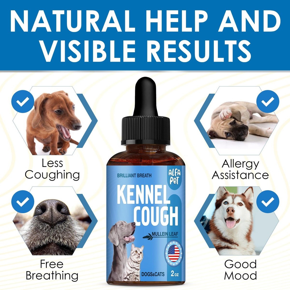 What to Give a Dog for Kennel Cough: Effective Remedies & Tips