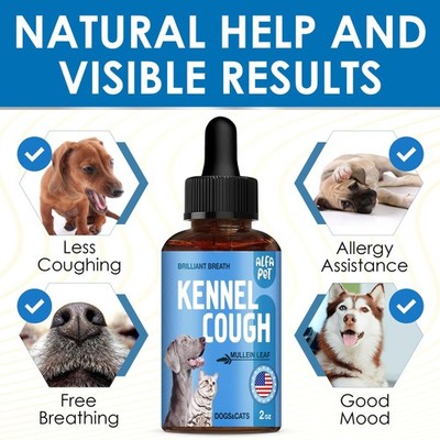 How to Care for a Dog With Kennel Cough: Essential Tips & Remedies