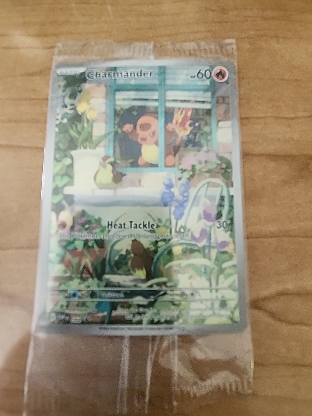 Charmander 44/ SV Black Star Promos NM Pokemon TCG Card