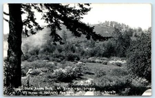 RPPC BROOKINGS, OR Oregon ~ STATE AZALEA PARK c1940s Patterson #5B22 Postcard