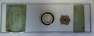 Antique Arthur Cole English c.1867 Worlds Fair Microscope Slide Arranged Diatoms